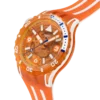 Pacific Sea Nettle
