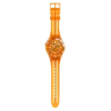 Pacific Sea Nettle